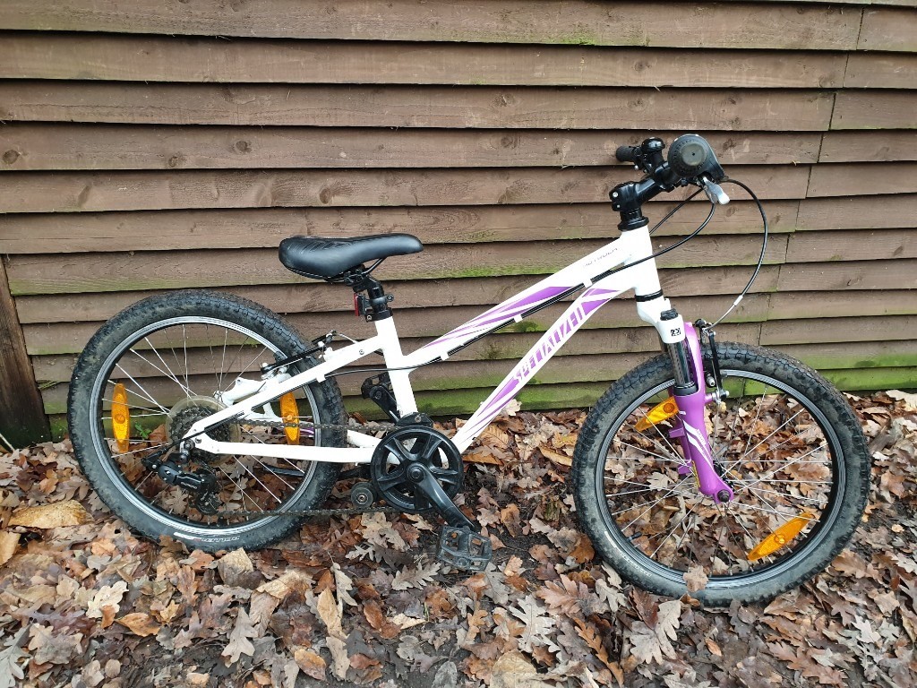 specialized hotrock 20 purple